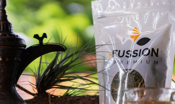 Prepara la taza de té verde perfecta